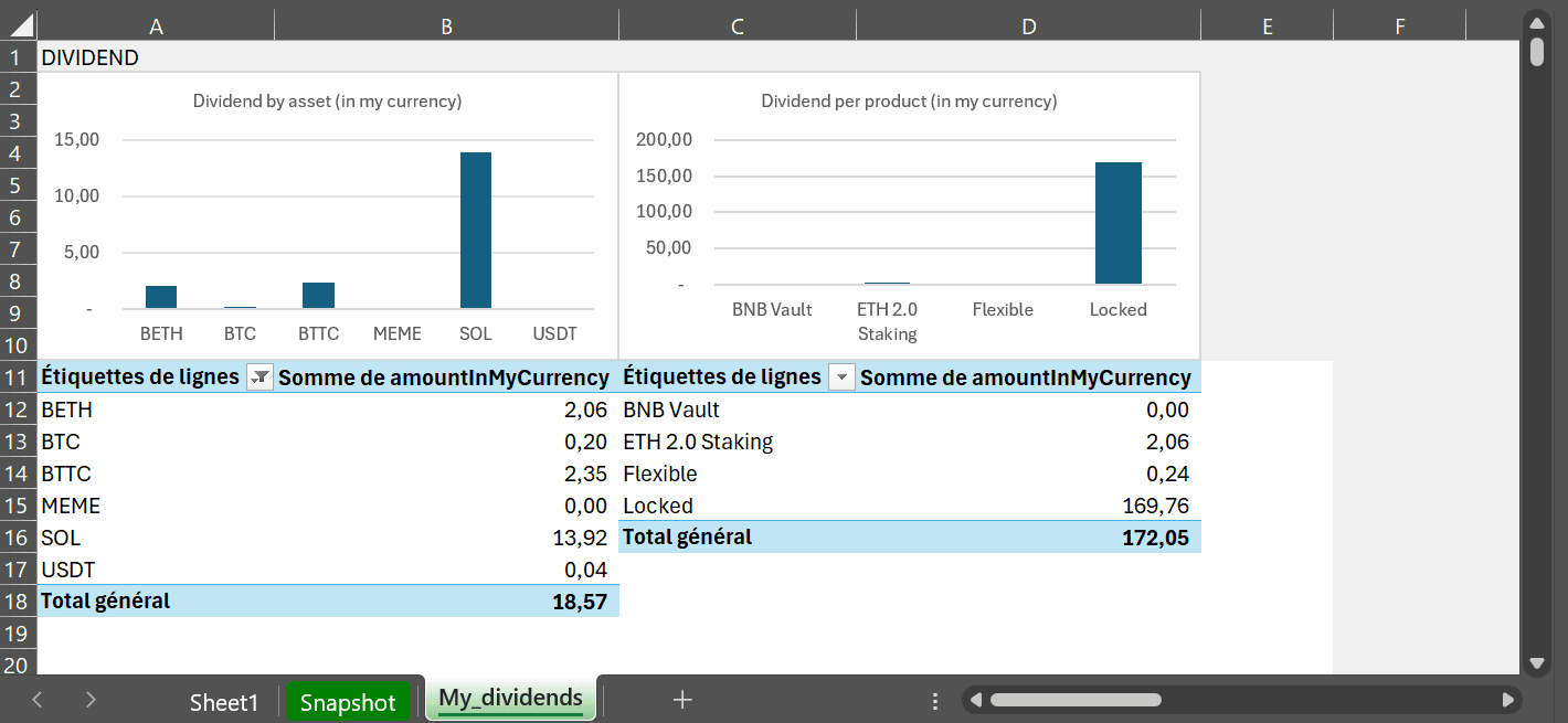 Excel reports to visualize your dividends